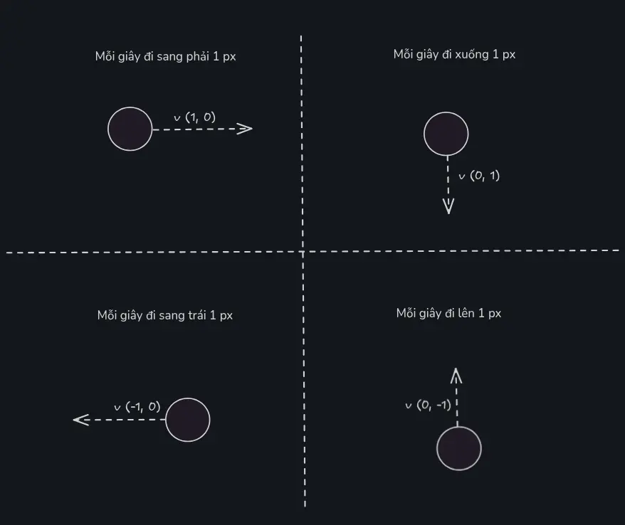 biểu diễn vận tốc